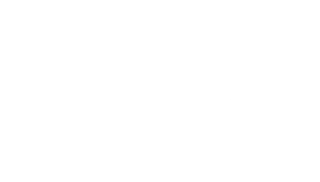 Film Festival Partner